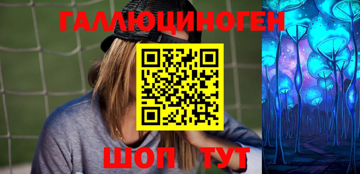 Галлюциногенные грибы MAGIC MUSHROOMS  где найти наркотики  Вышний Волочёк 