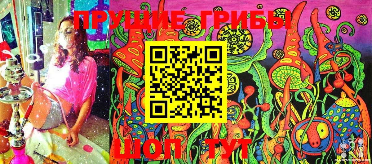 Псилоцибиновые грибы Cubensis  Вход с VPN  Вышний Волочёк  Псилоцибиновые грибы мухоморы 